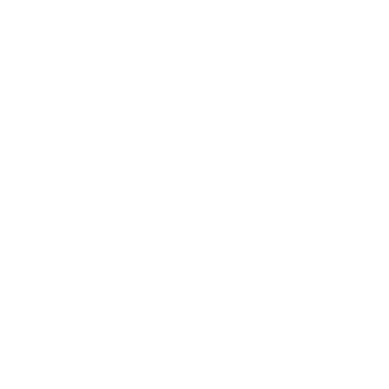 RODIX Logo